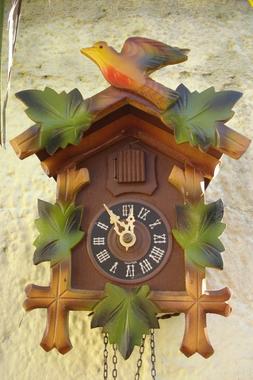 O Cucu' Regula Foresta Nera