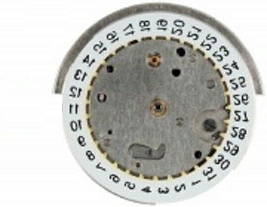 amphibian meccanismo automatico 2416 x orologio 100