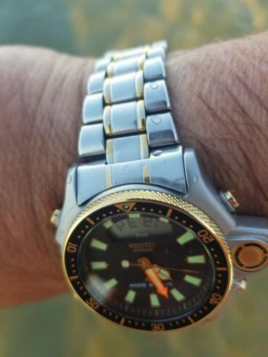 aqualand jp 2004 dual tone