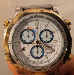 O Automatico Uomo Citizen