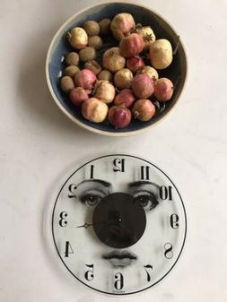 O Da Parete Fornasetti, Un Prototipo.